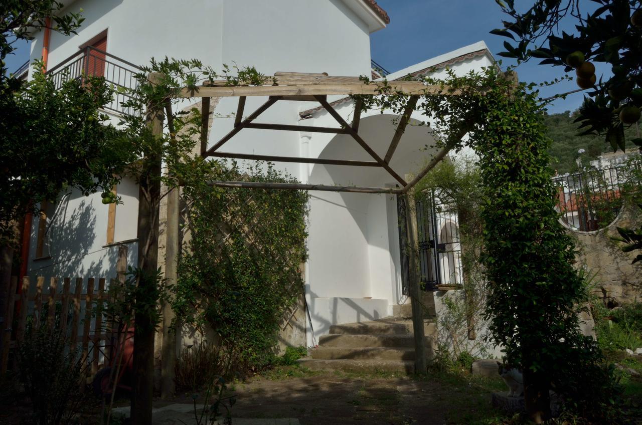 Il Giardino Del Sole Bed and Breakfast Roccarainola Eksteriør billede